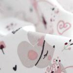 Souris